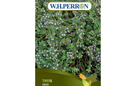 Thym Hiver (Semences)