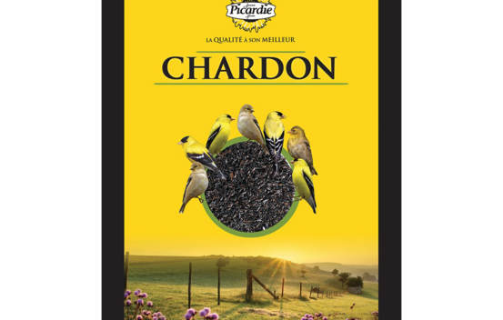 Chardon noir 8 kg