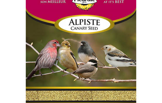 Alpiste 2 kg