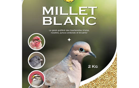 Millet blanc 2 kg