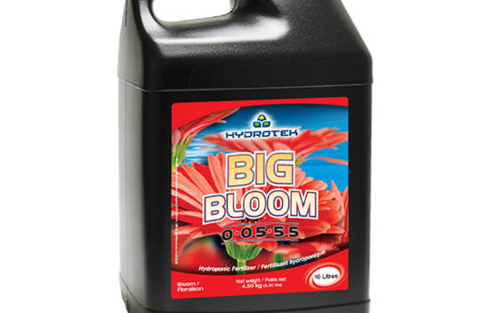 Big Bloom 2.5 gal. (10 L)
