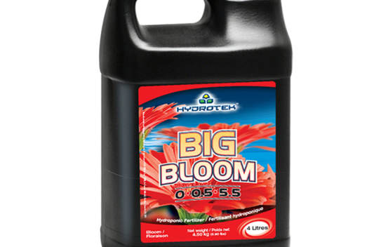 Big Bloom 1 gal. (4 L)
