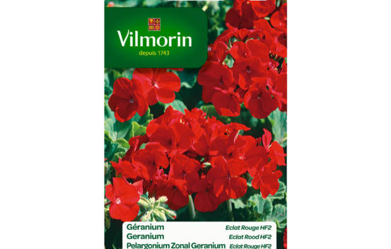 G&eacute;ranium HF2 &Eacute;clat rouge