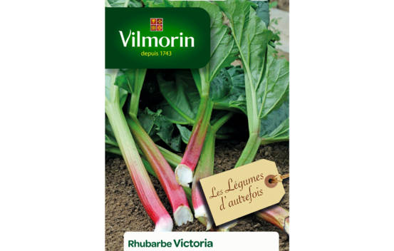 Rhubarbe Victoria (L&eacute;gumes d'autrefois)