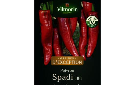 Piment doux Spadi HF1 (Cr&eacute;ation Vilmorin) (Succ&egrave;s du Jardinier)