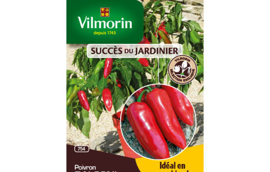Poivron Balconi HF1 (Succ&egrave;s du Jardinier)