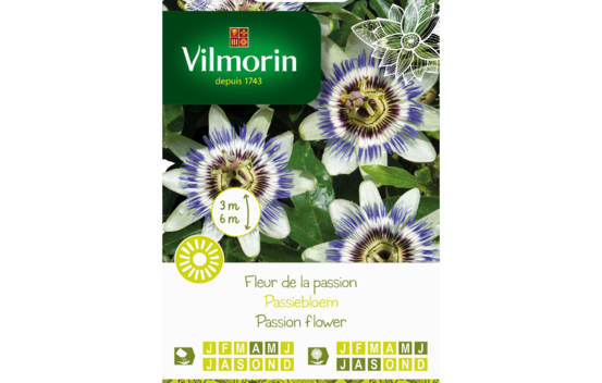 Fleur de la passion (Passiflore)