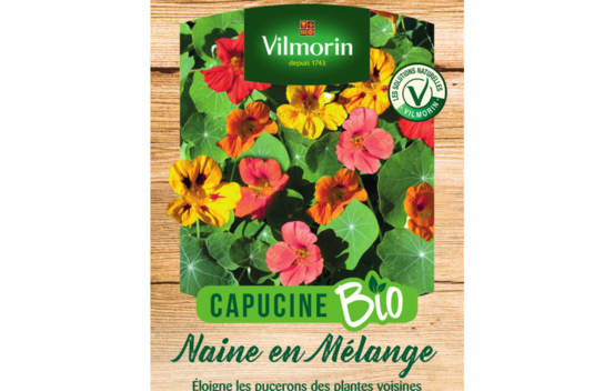 Capucine Naine en m&eacute;lange Biologique
