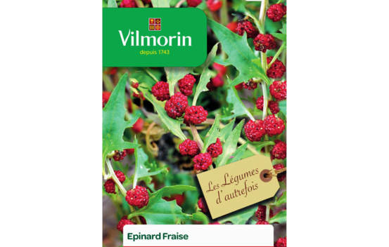 &Eacute;pinard fraise (L&eacute;gumes d'autrefois)