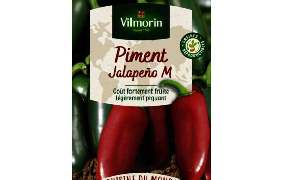 Piment Jalapeno (Cuisine du monde)