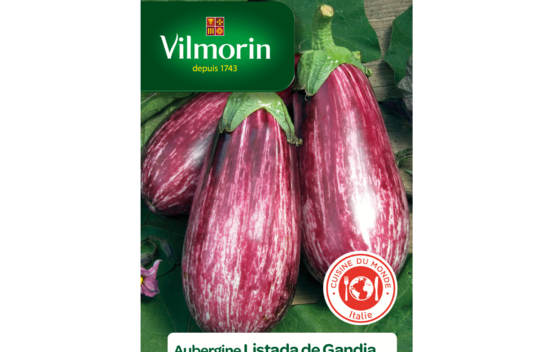 Aubergine Listada de Gandia (Cuisine du monde)