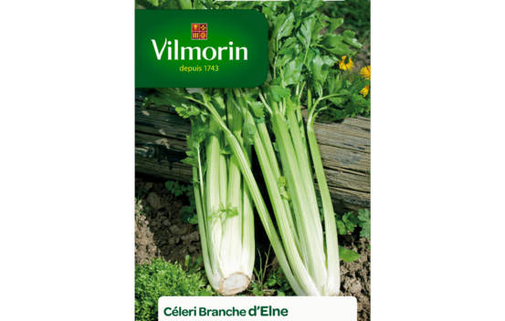 C&eacute;leri branche d'Elne