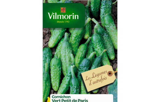 Cornichon Vert Petit de Paris (L&eacute;gumes d'autrefois)