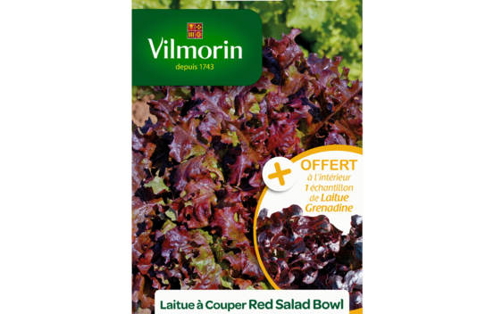 Laitue &agrave; couper Red Salad Bowl + &eacute;chantillon laitue &agrave; couper Grenadine