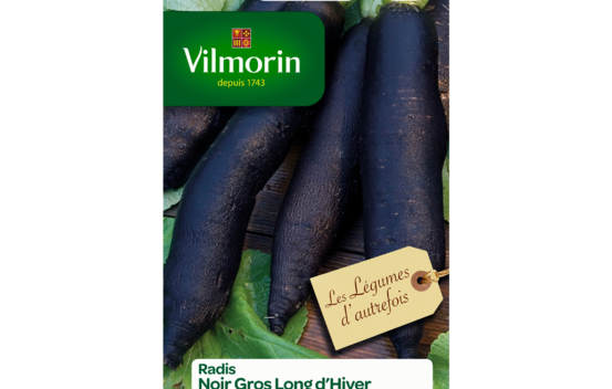 Radis Noir gros long d'hiver (L&eacute;gumes d'autrefois)