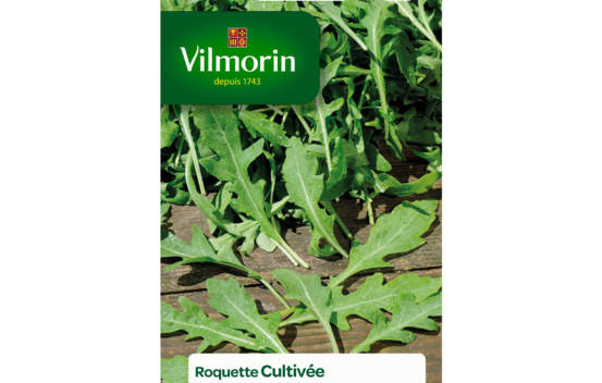 Roquette cultiv&eacute;e