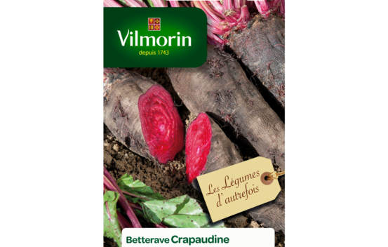 Betterave Rouge Crapaudine (L&eacute;gumes d'autrefois)