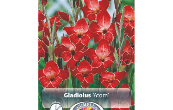 Gla&iuml;eul Atom (Paquet de 10 bulbes)
