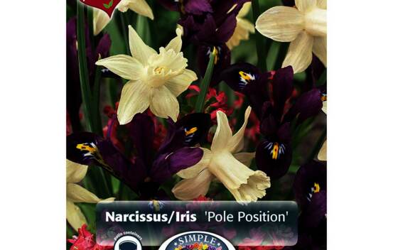Narcisse et Iris Pole Position (M&eacute;lange Perfect Partners) (Paquet de 12 bulbes)