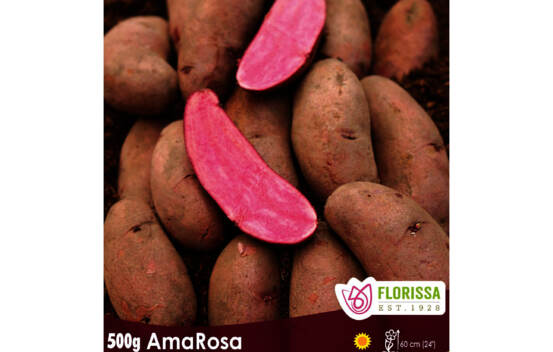 Pomme de terre AmaRosa (Peau et chair rouge) (Paquet de 500 g)