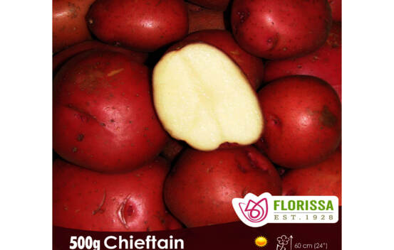 Pomme de terre Chieftain Rouge (Peau rouge et chair blanche) (Biologique) (Paquet de 500 g)