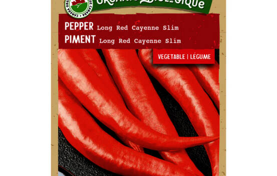 Piment Cayenne Rouge Long et M Biologique (Semences)