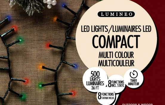 Lumières Extérieures DEL Riz 500 lumières (avec minuterie et 8 fonctions) 36' Multicolores